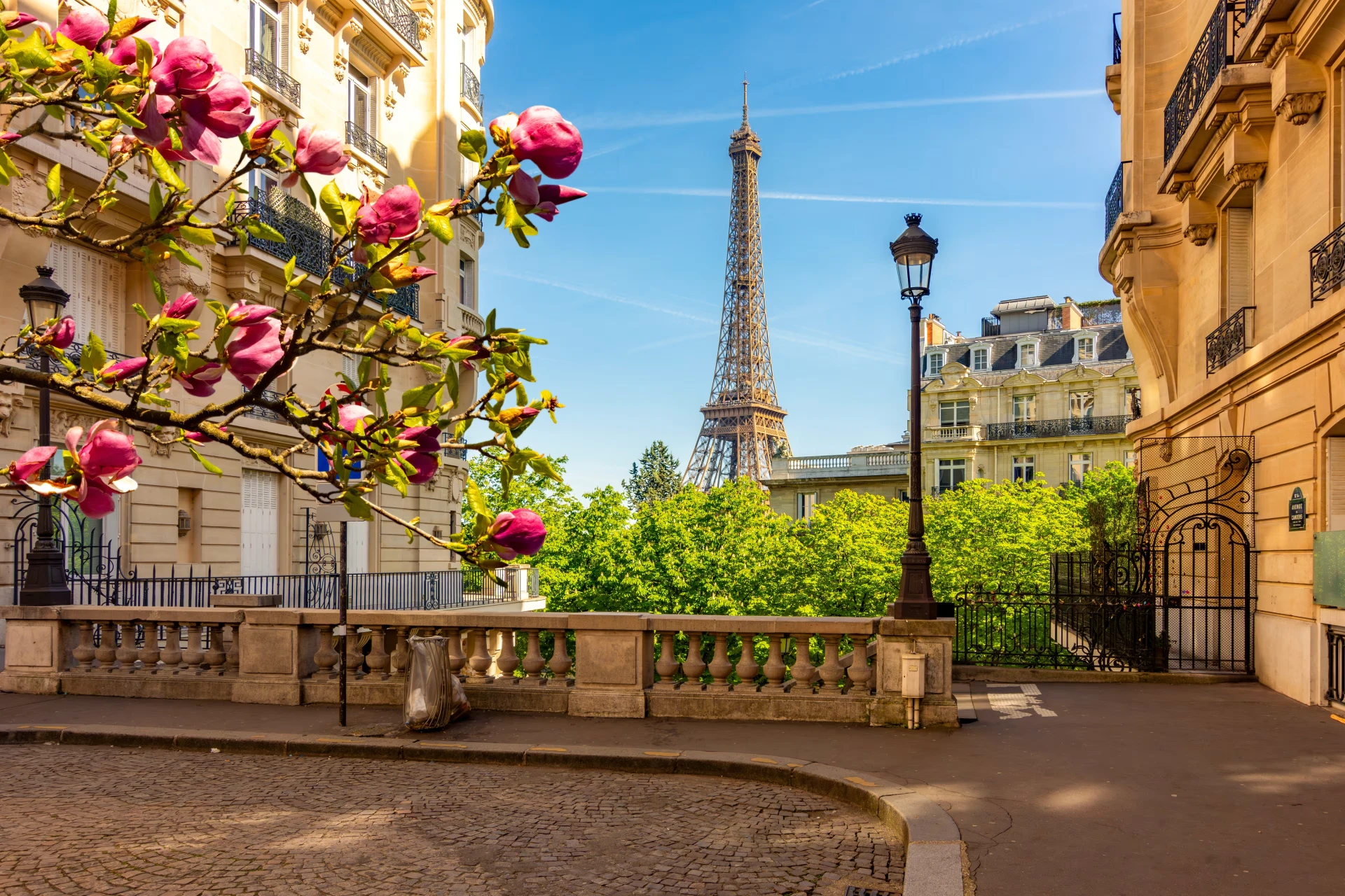 Torre Eiffel vista de uma rua parisiense com magnólias em flor