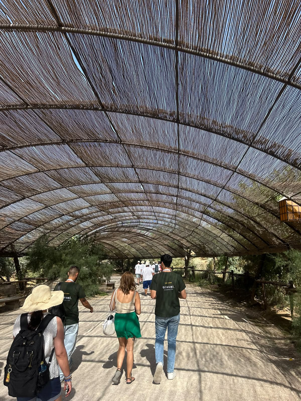 Grupo de Professores a caminhar sob um coberto de canas no Puy du Fou España