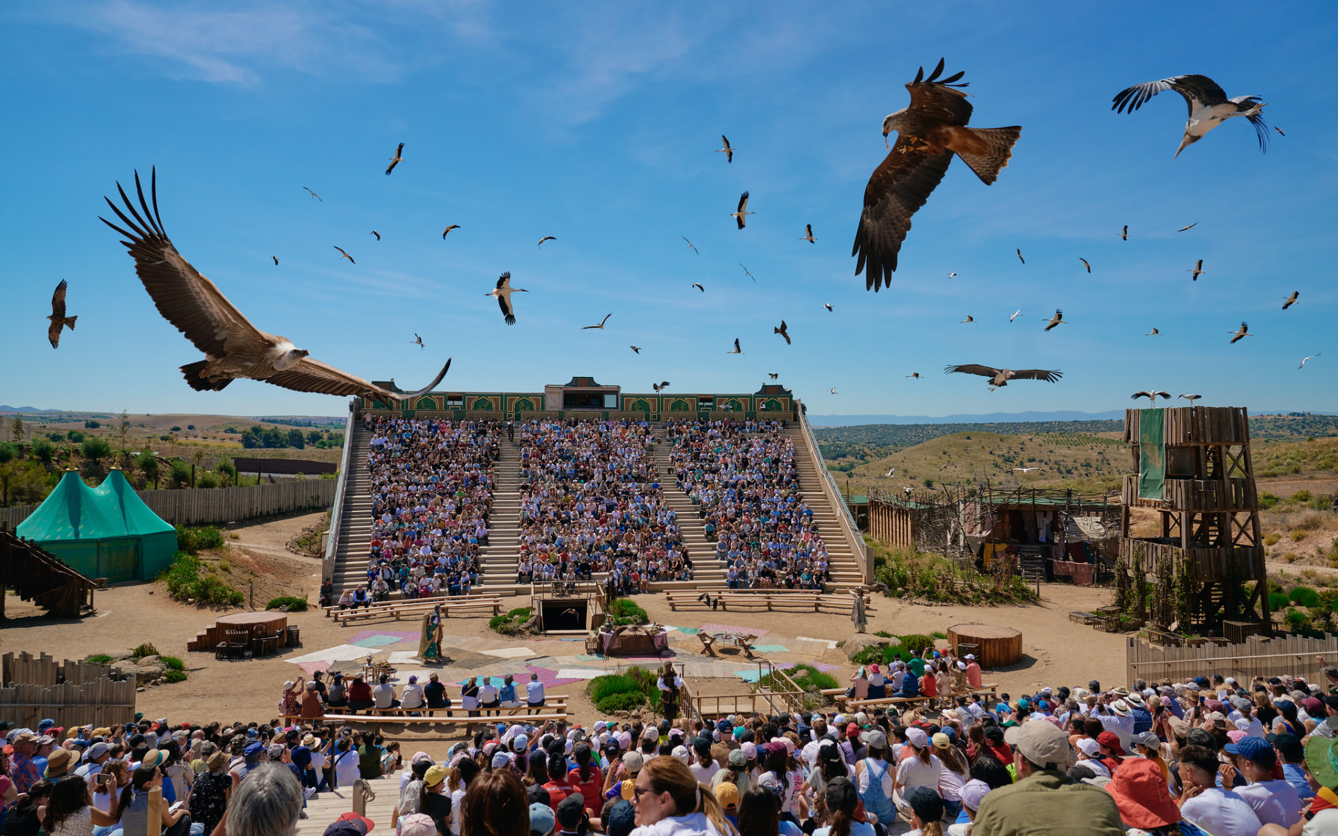 Espetáculo Cetrería de Reyes, com aves de rapina em voo sobre a arena e o público